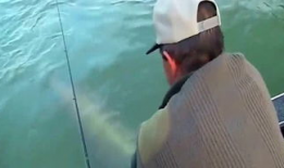 野外爱爱视频,揭秘户外浪漫瞬间